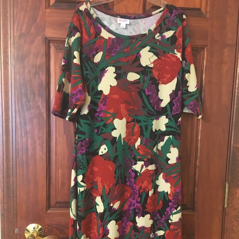 LulaRoe Julia dress